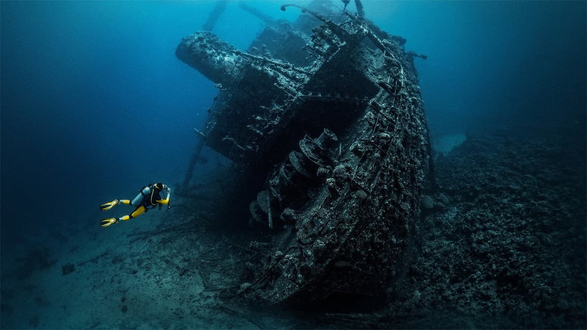Deep Sea Detectives