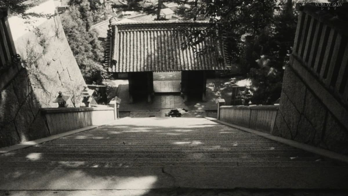 転校生