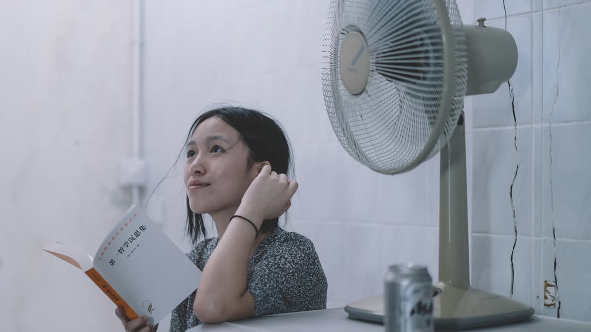 左翼青年的鬱悶夏日