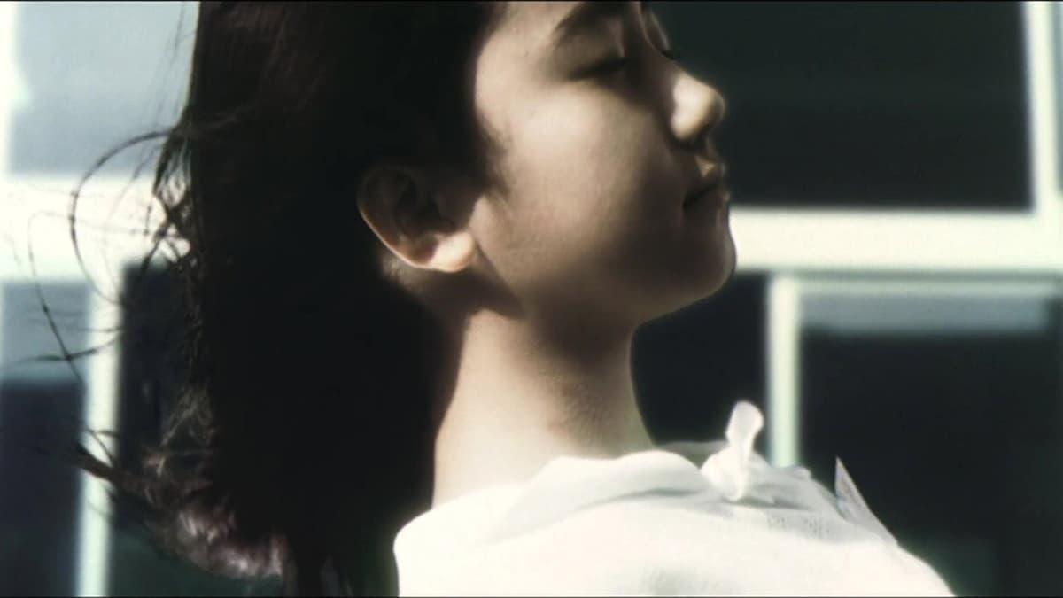 奇妙なサーカス