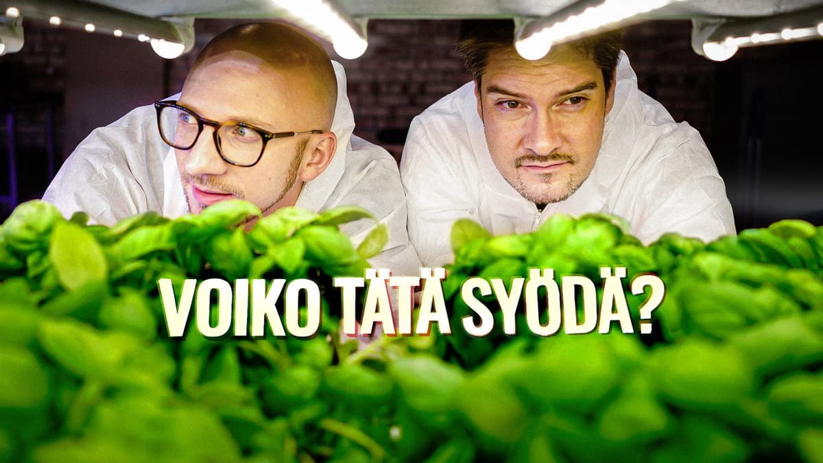 Voiko tätä syödä?