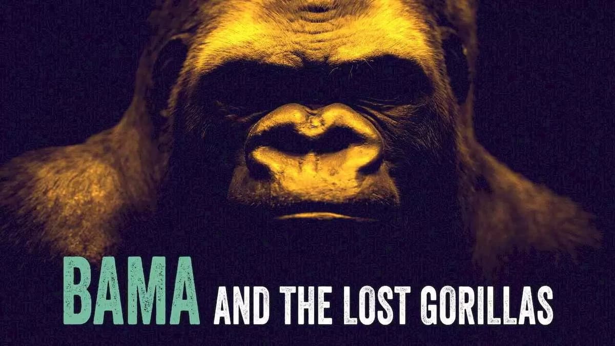 Bama, der Gorillamann - Abenteuer in Kamerun