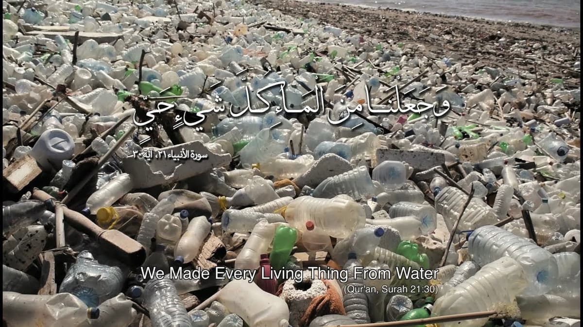 We Made Every Living Thing from Water