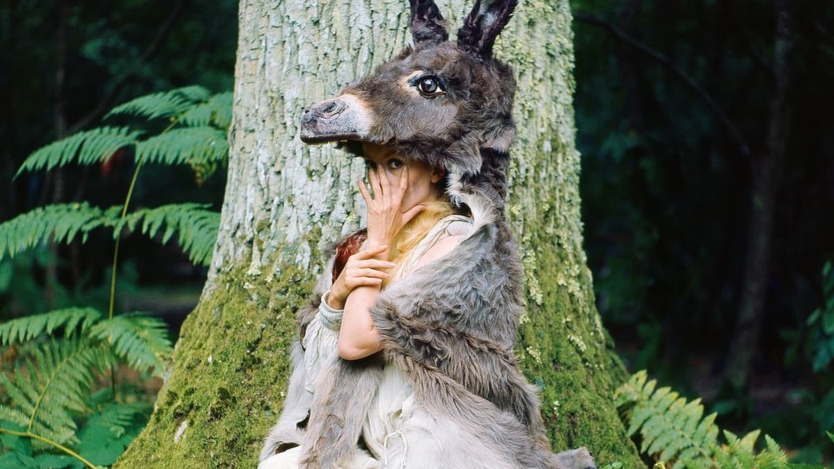 Flickan med åsneskinnet