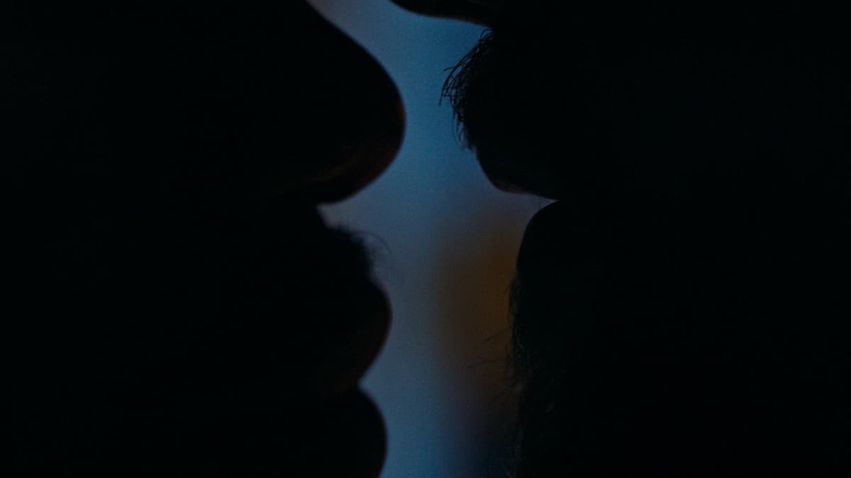 Never My Love