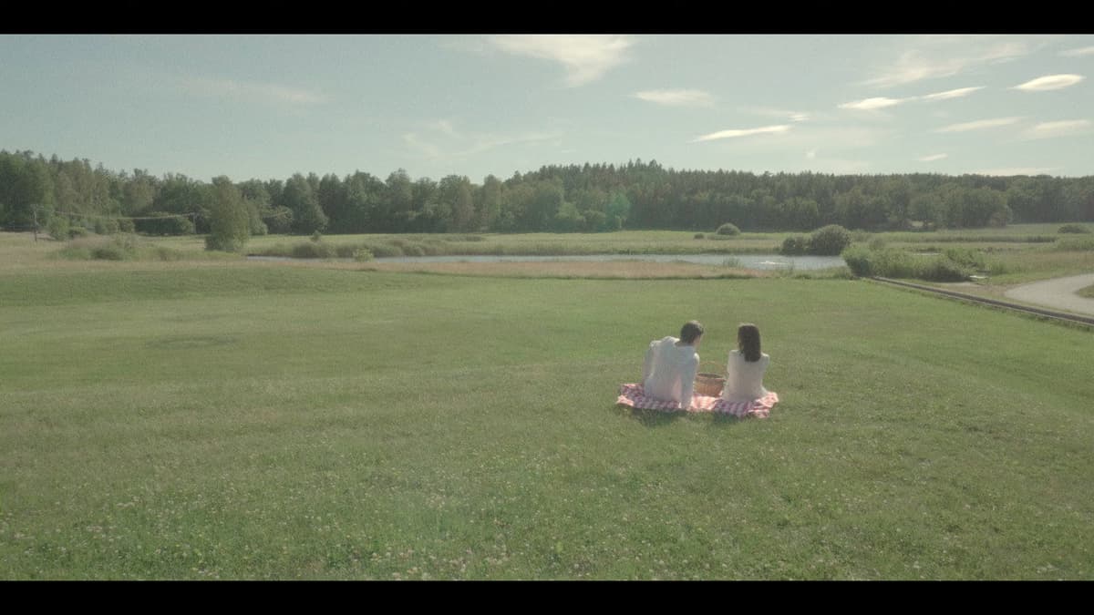 A Summer Story