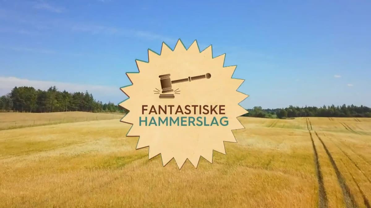 Fantastiske hammerslag