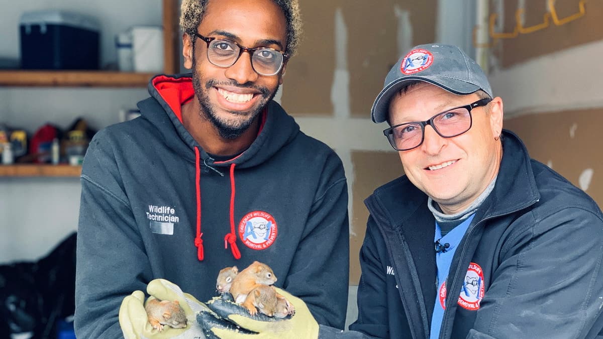 Louis et la faune urbaine