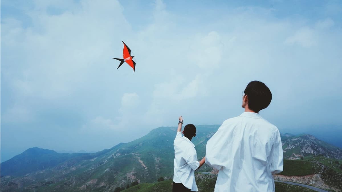 春风不喜是少年
