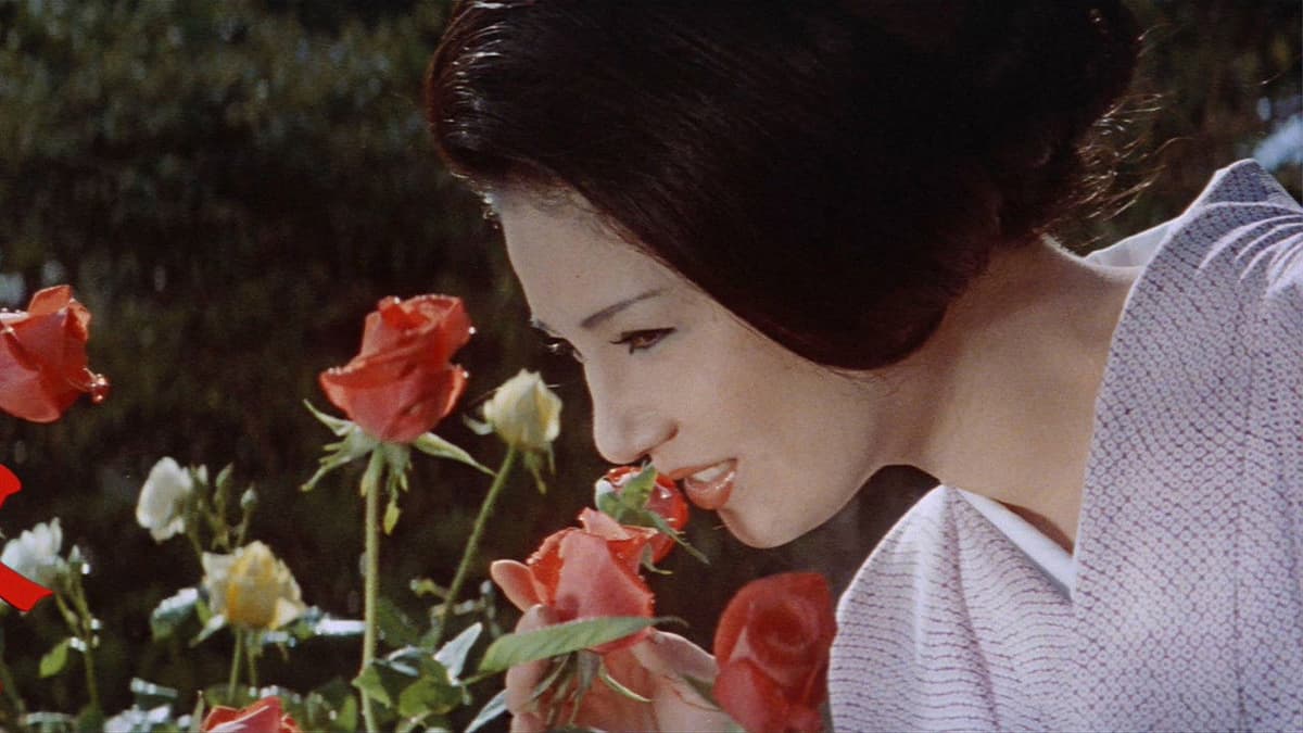 花と蛇