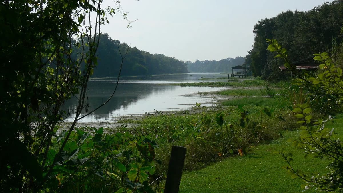 Rivers and Life