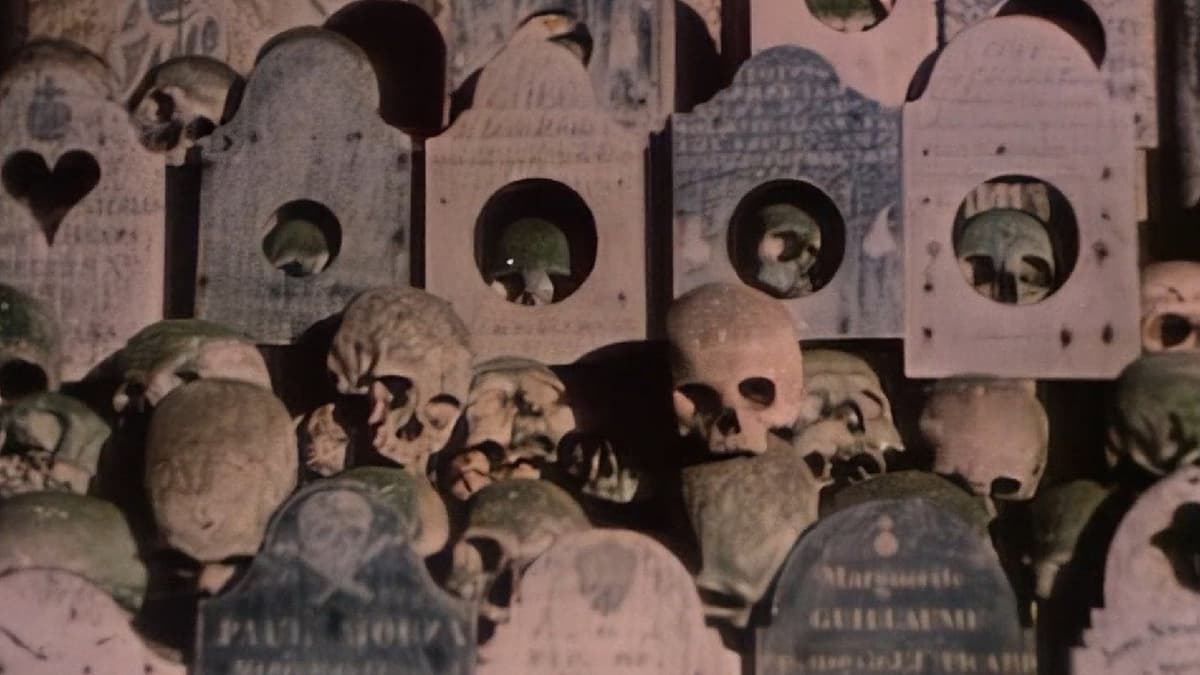 Faces of Death II