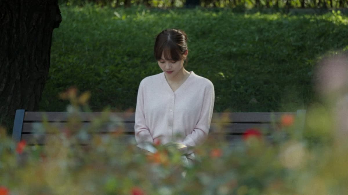 해바라기