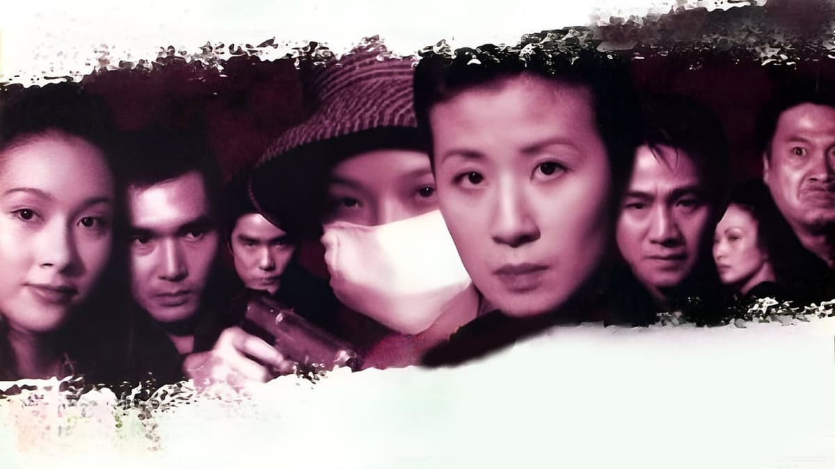 古惑仔情義篇之洪興十三妹
