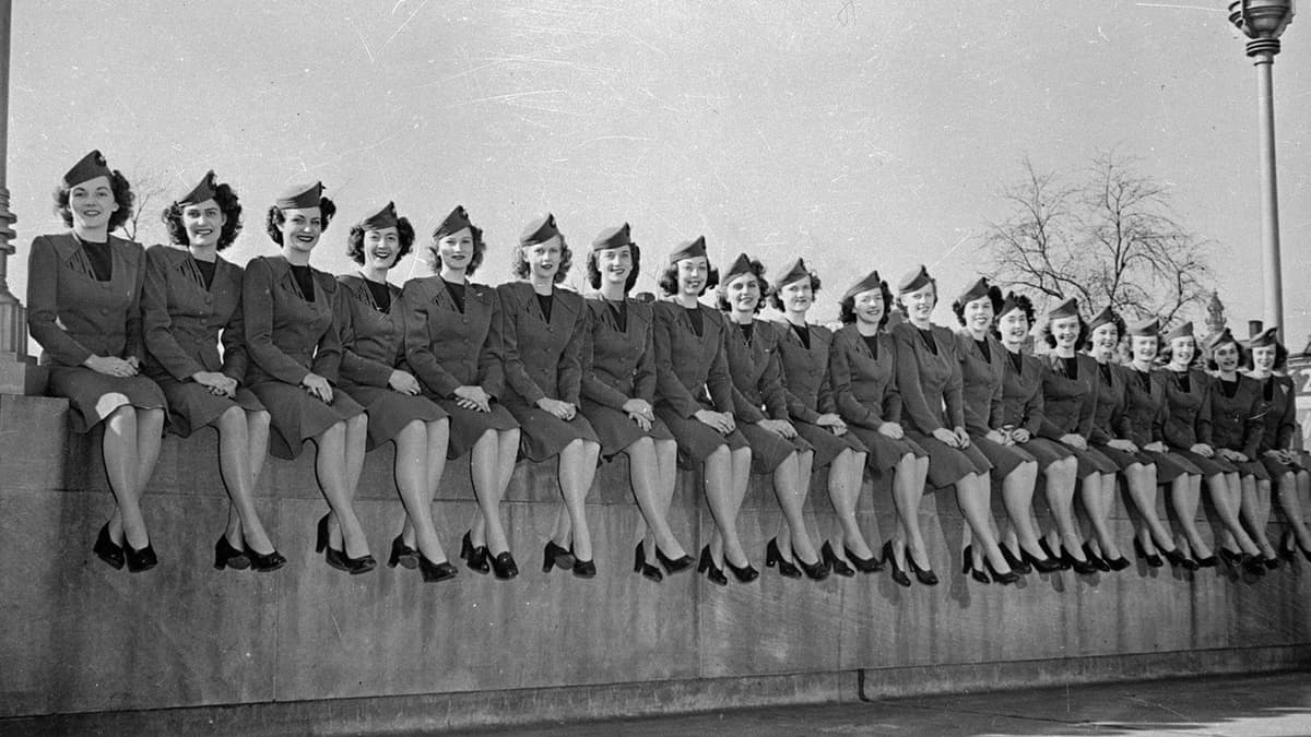 Flying Stewardess