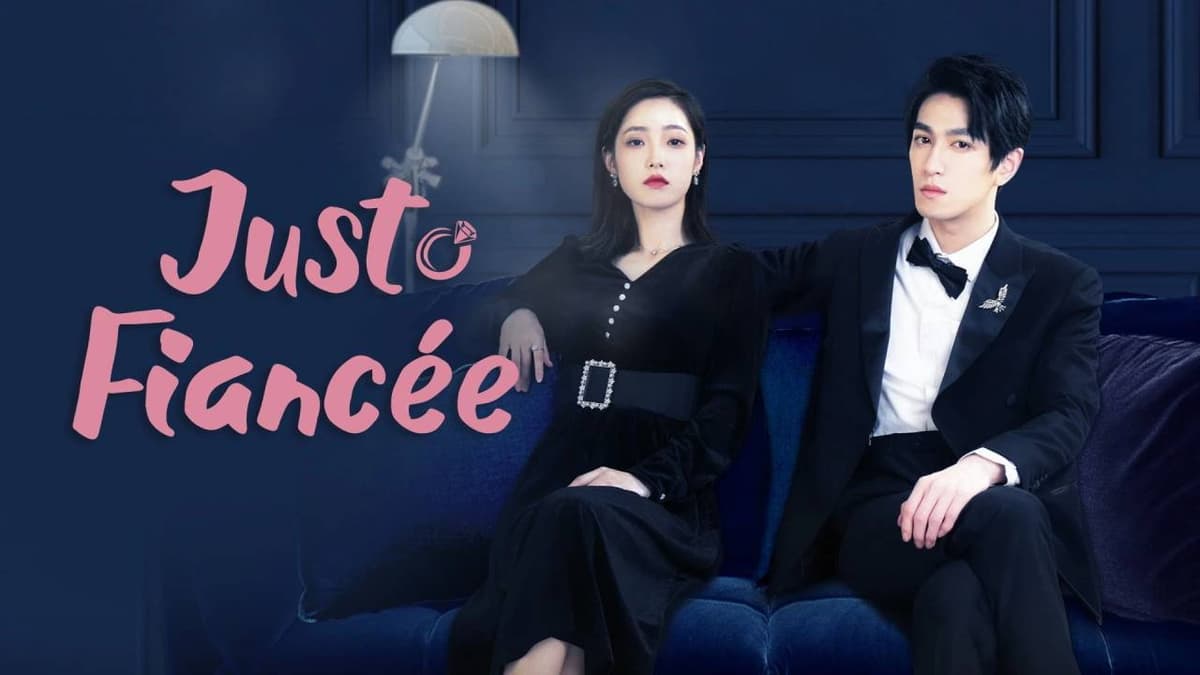 只是未婚妻的关系