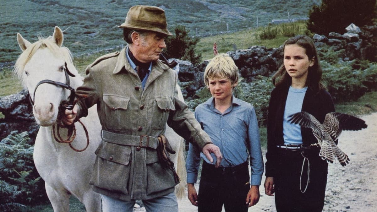Hans vän den vilda ponnyn