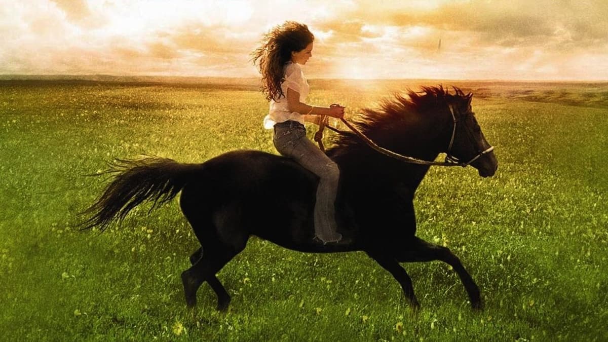 Flicka - Den bruna mustangen