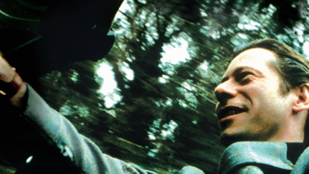 Fjärilen i glaskupan