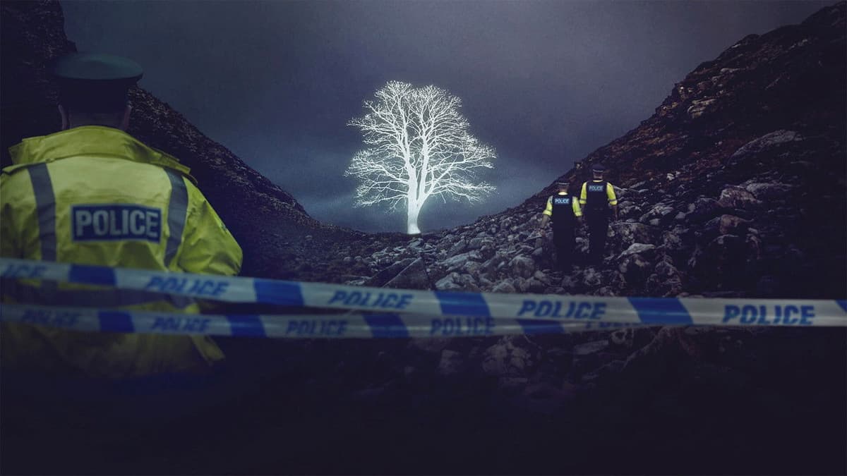 The Sycamore Gap Mystery