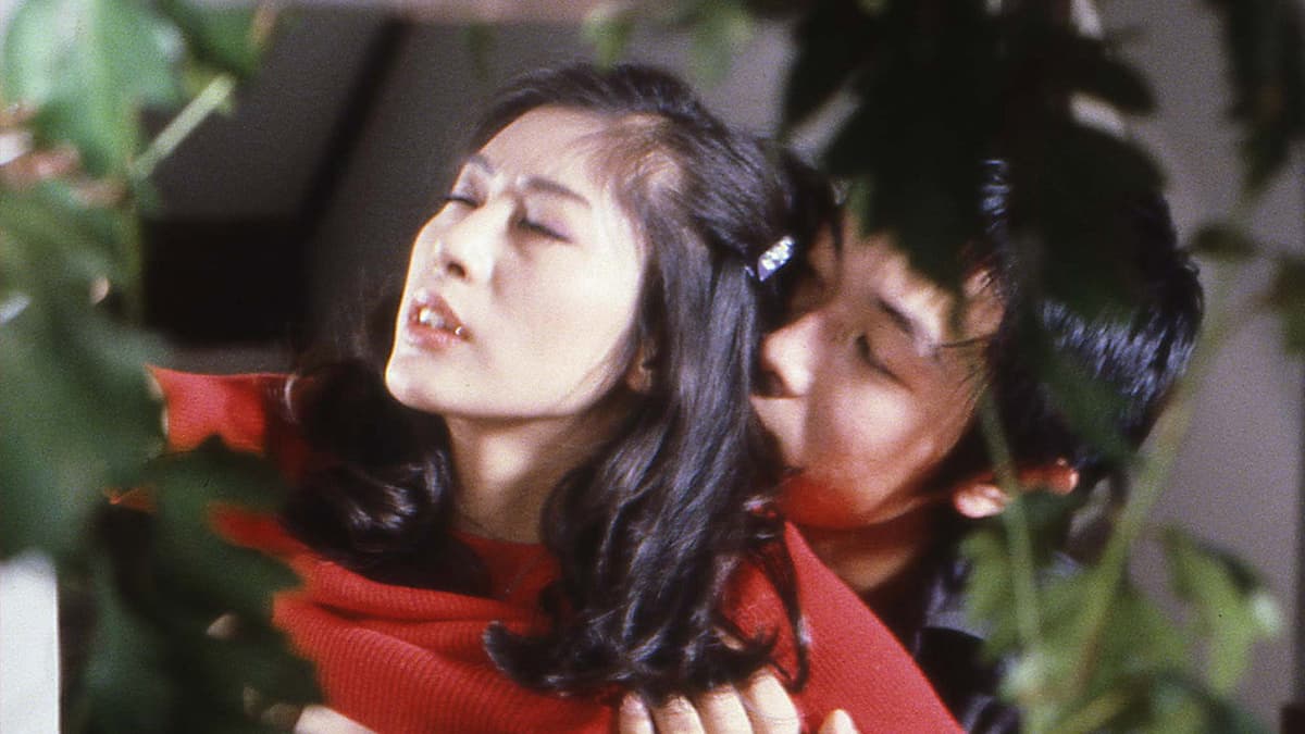 美姉妹　犯す