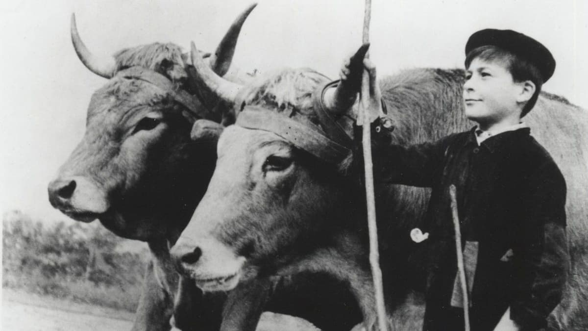 Farrebique ou les Quatre Saisons