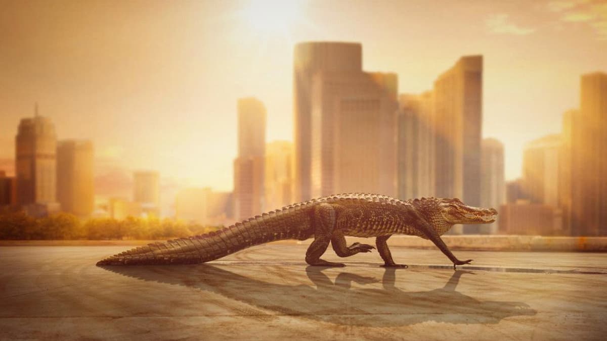 Städer: Naturens nya vildmark