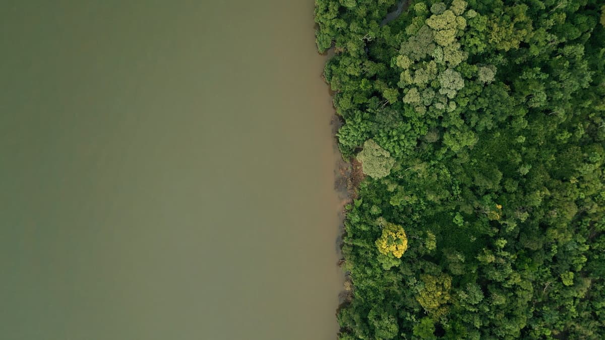 BARRAGENS ENTRE NÓS