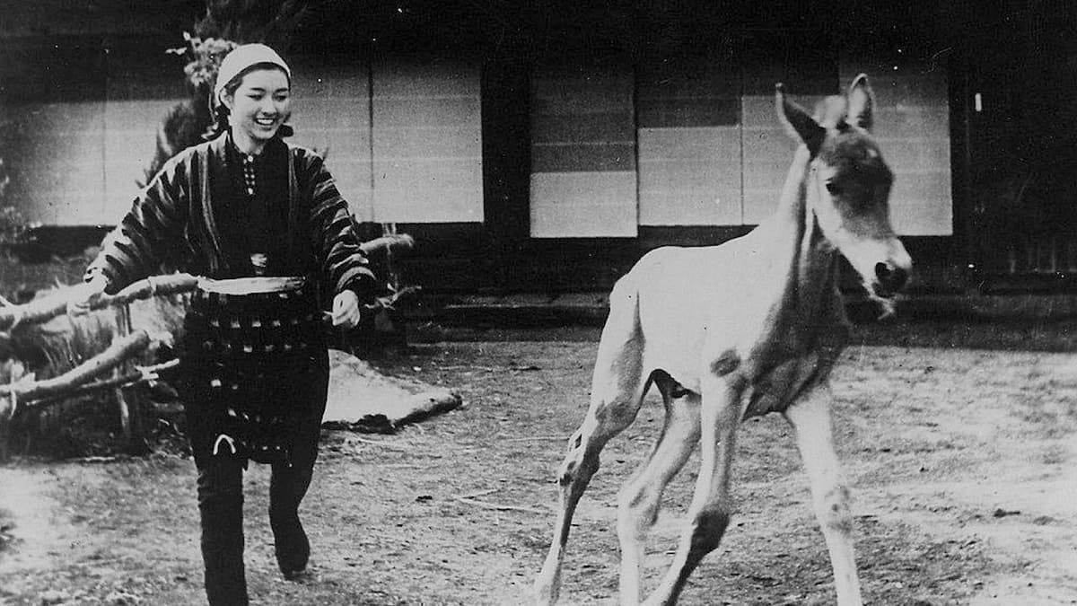 馬