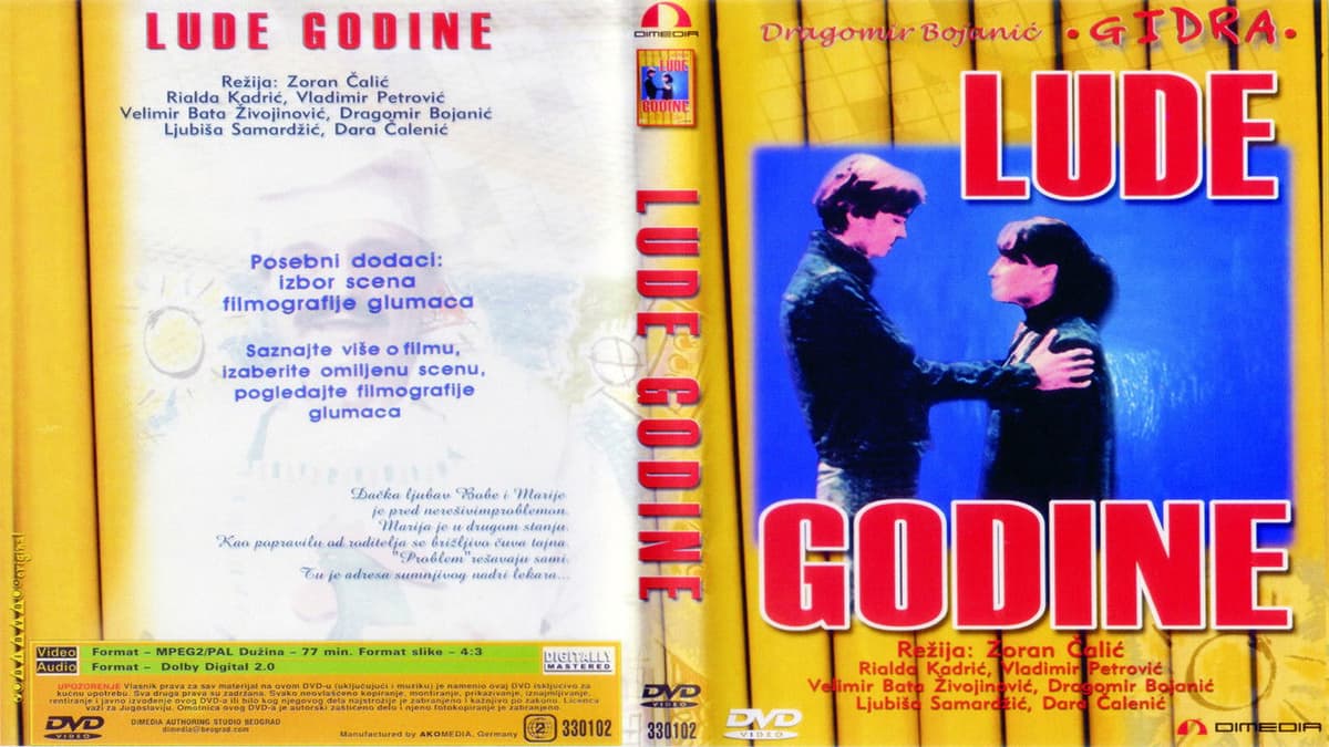 Lude godine