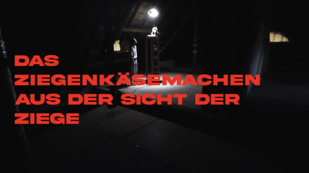 Das Ziegenkäsemachen aus der Sicht der Ziege