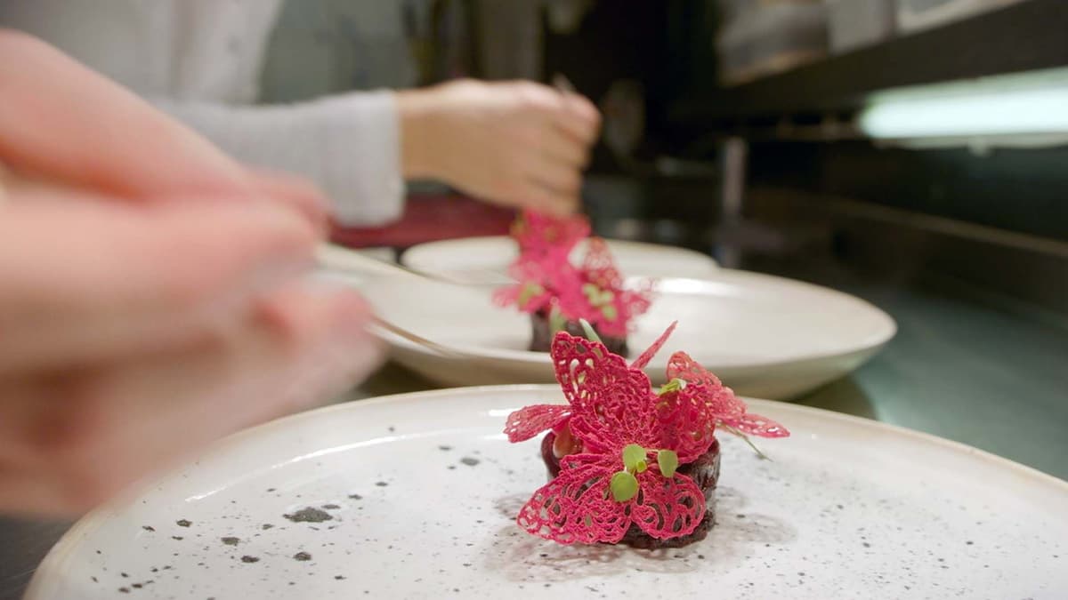 Frei von... - Sind Ersatzlebensmittel die bessere Alternative ?