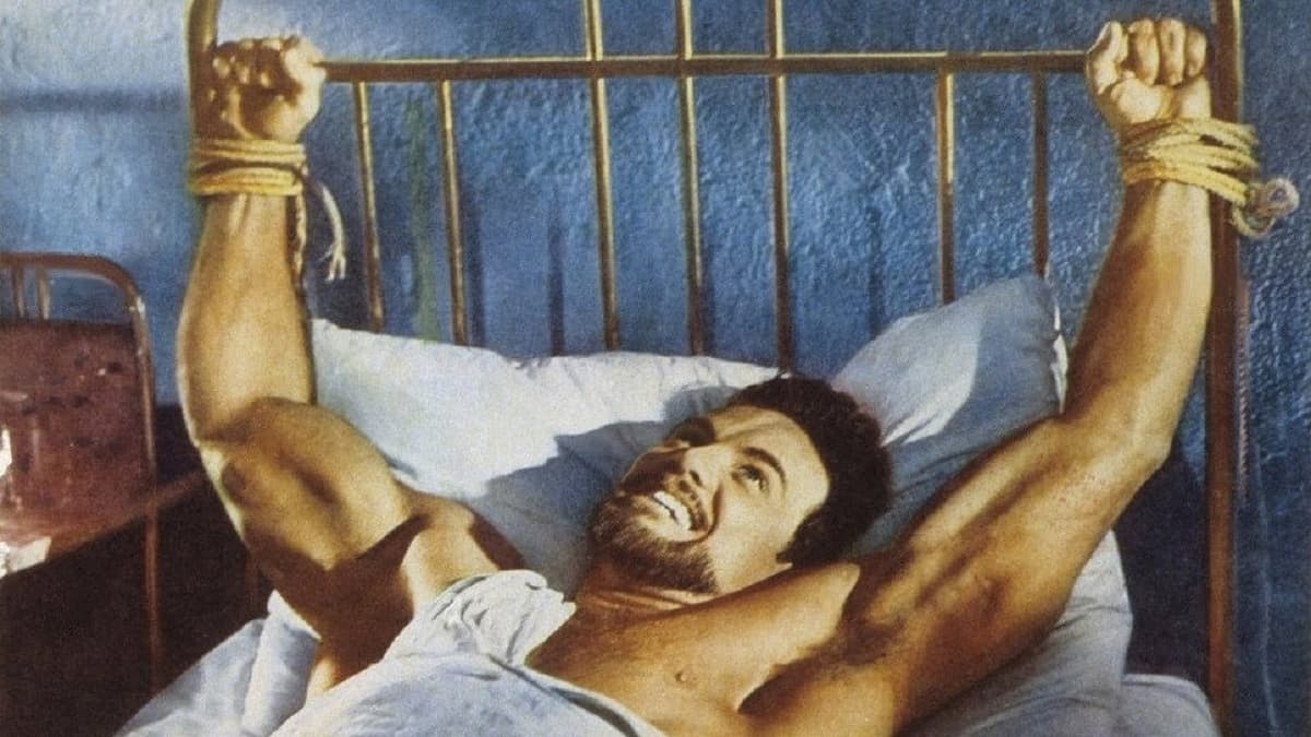 Agi Murad, il diavolo bianco