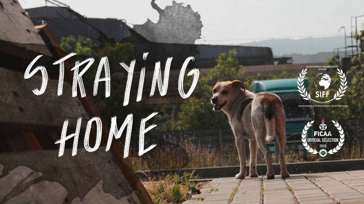 Straying home