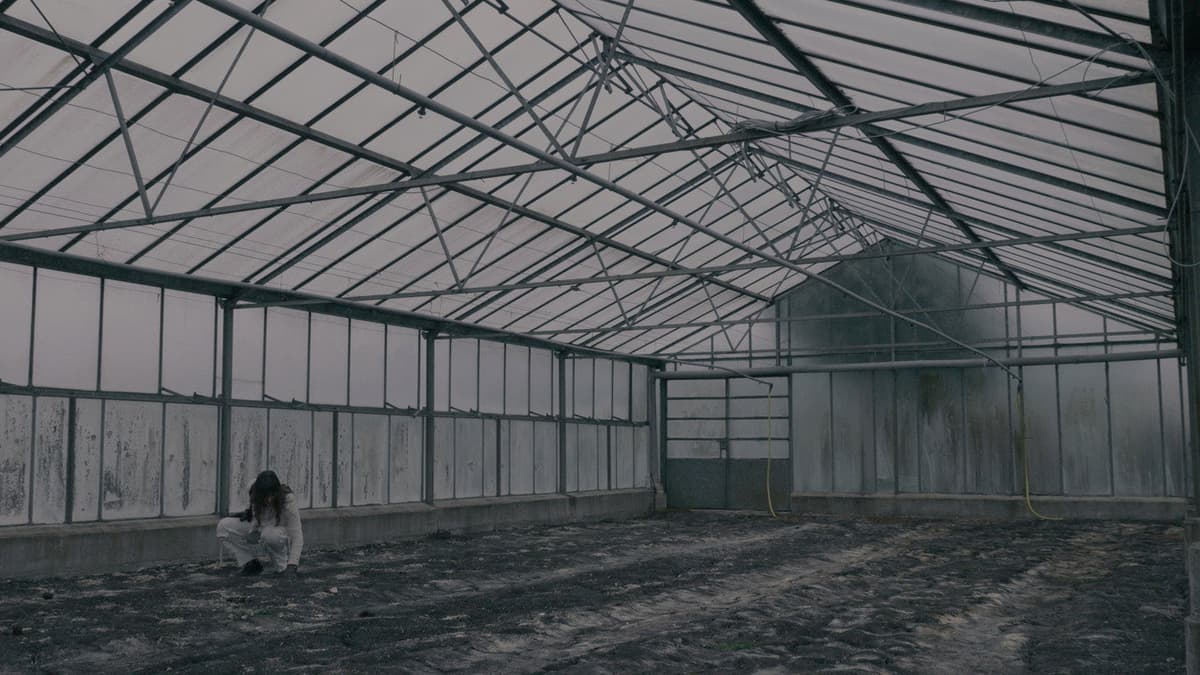BLOOM - A Dystopian Short Film