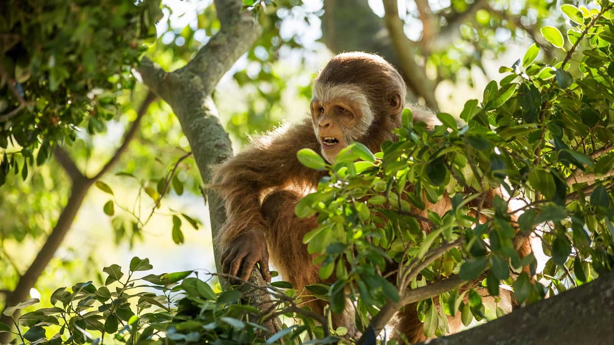 Den första människan