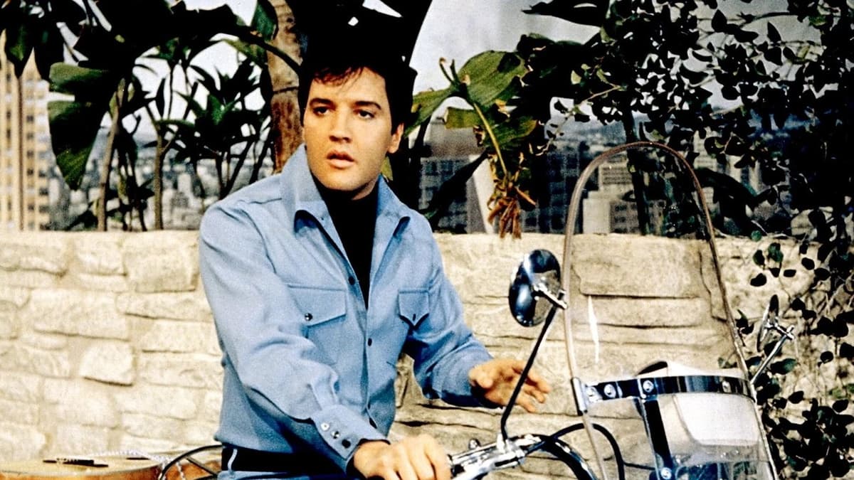 Elvis i full rulle