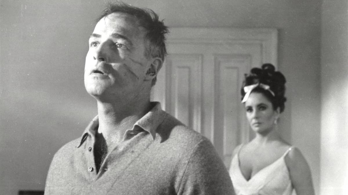 Reflexer i ett gyllene öga