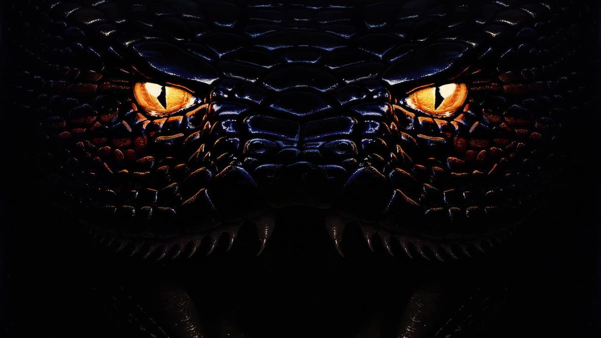 Anaconda