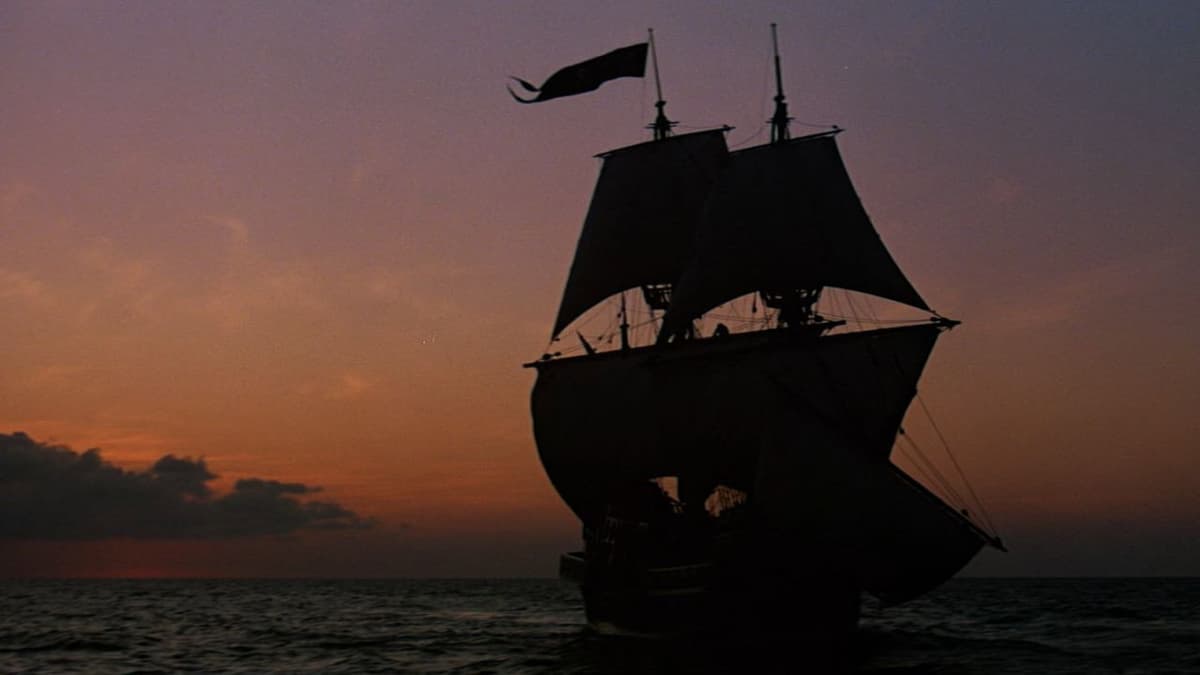 Den vilde piraten
