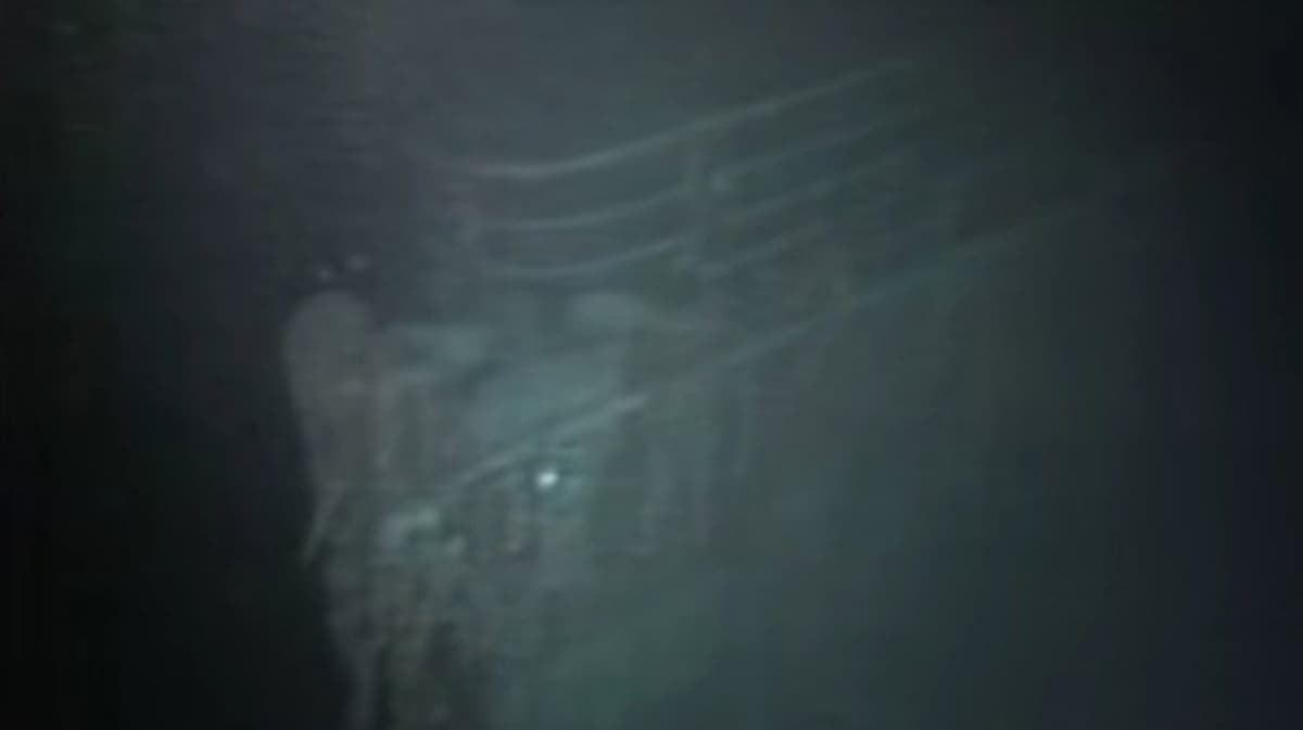 Titanic: The Nightmare and the Dream