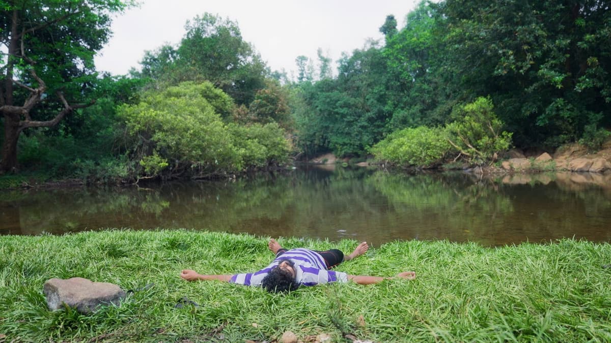 കാട് വെട്ടിയ വിവരം ആദ്യം അറിഞ്ഞത് മരംകൊത്തികളായിരുന്നു
