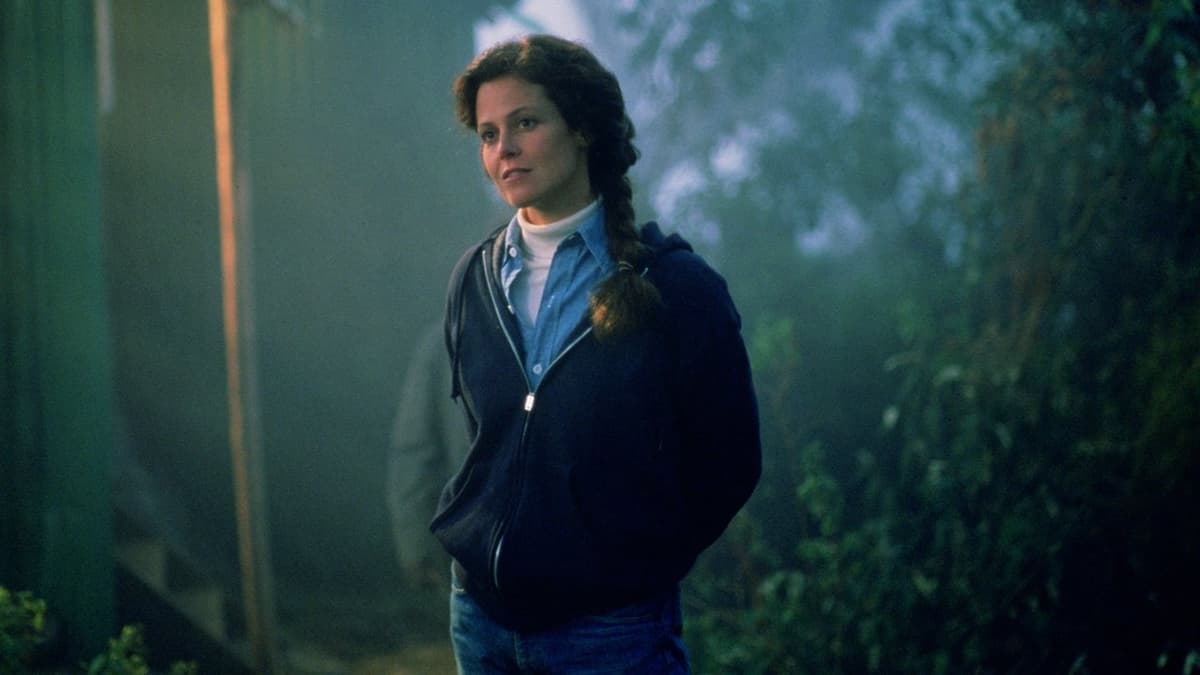 De dimhöljda bergens gorillor