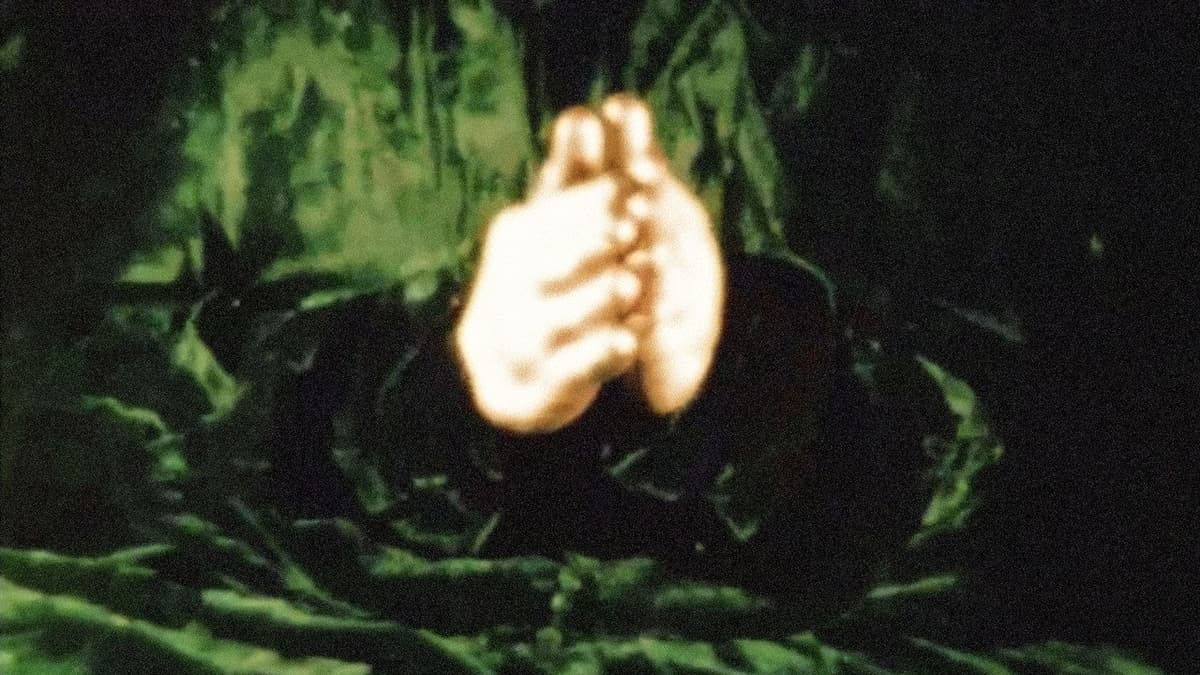 The Story of the Little Green Man