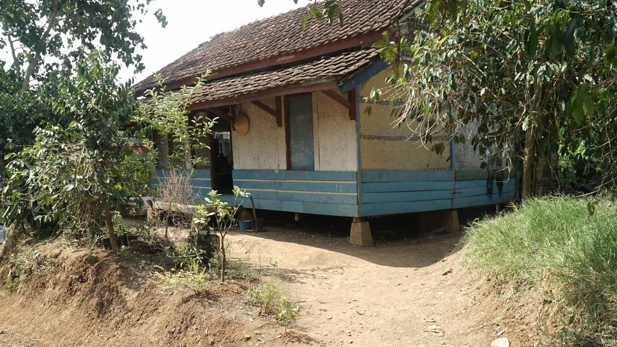 Yang Terungkap