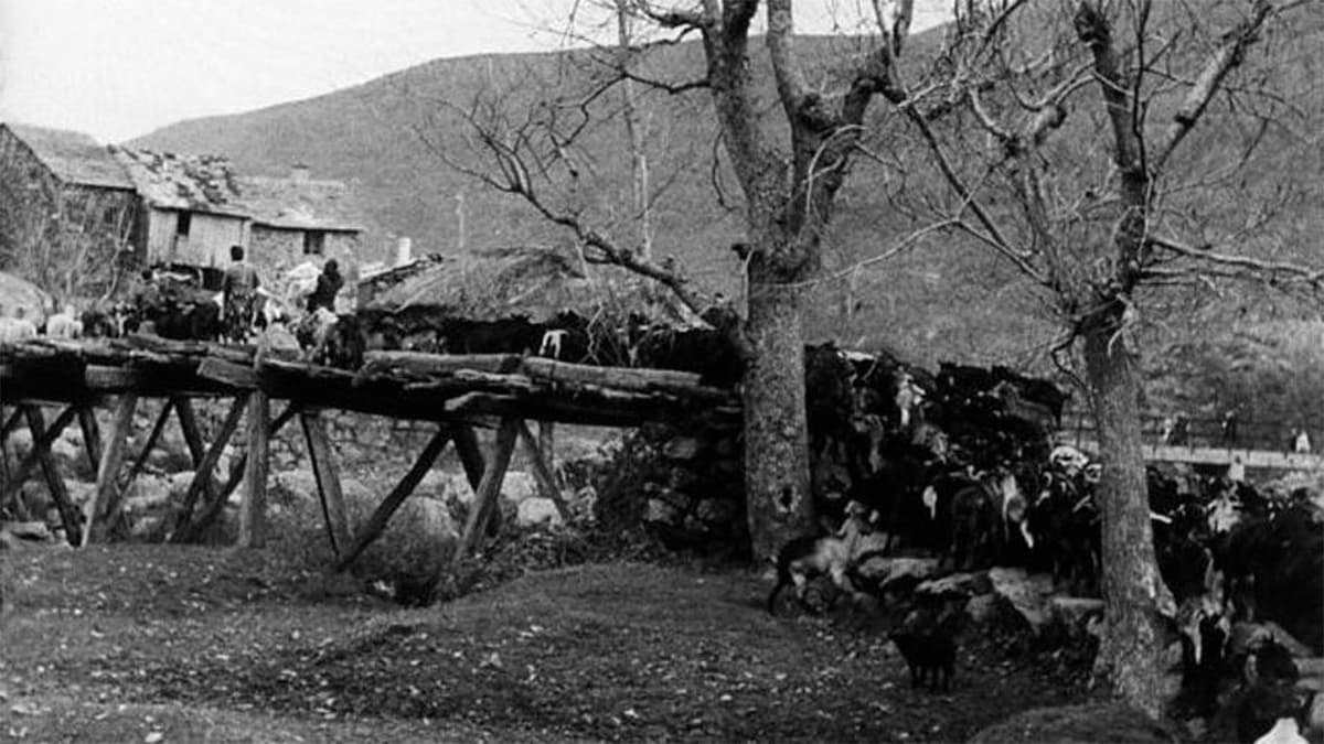 Carta de Sanabria
