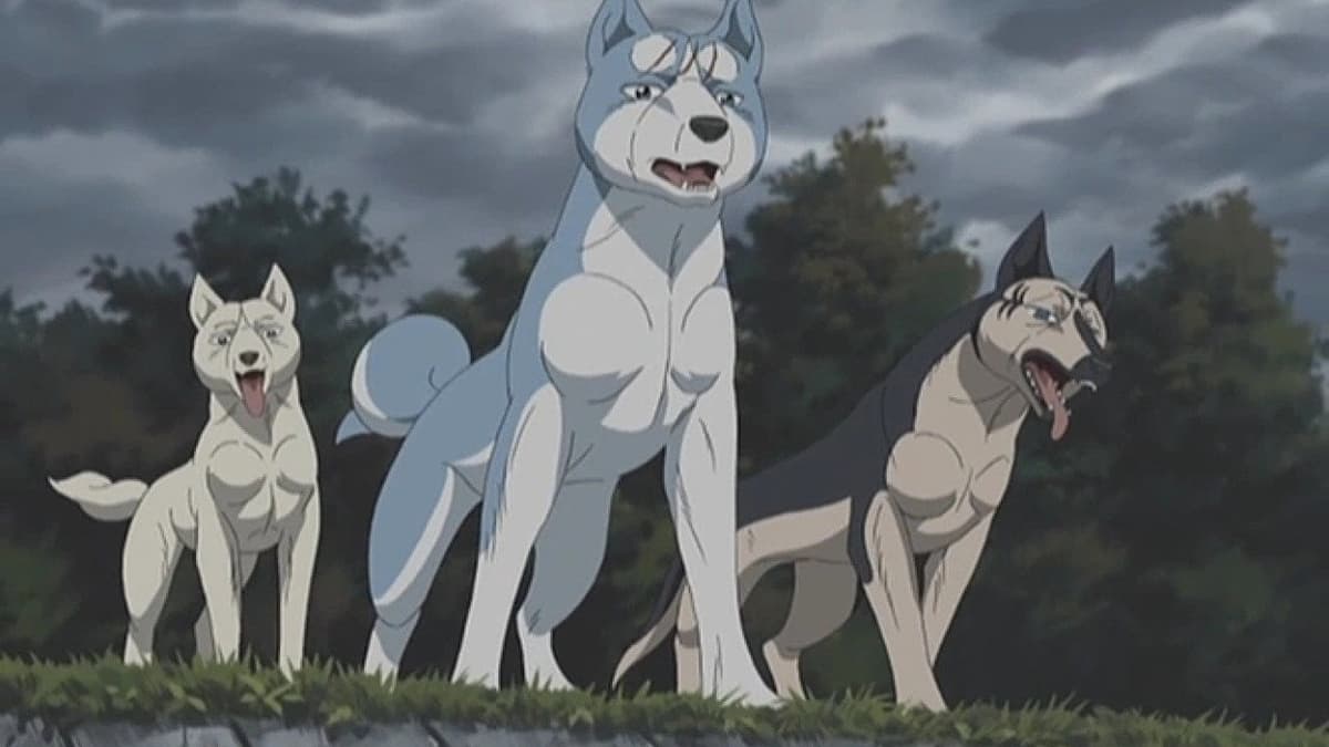 Weed - Silver Fangs son