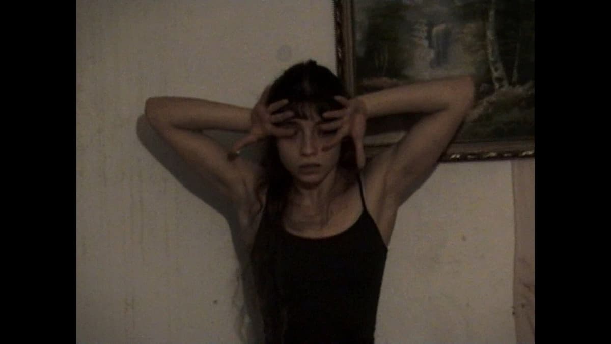 Aproximação ao Bicho