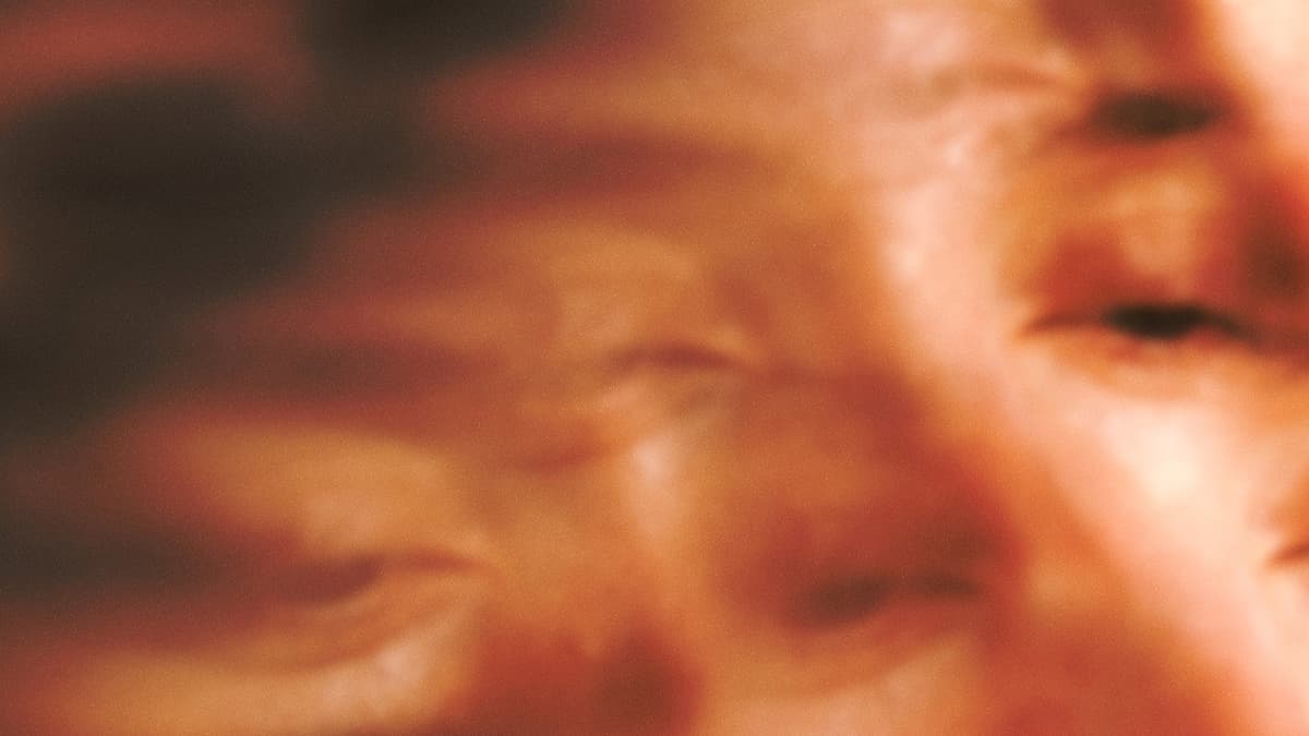 Son of Sauna