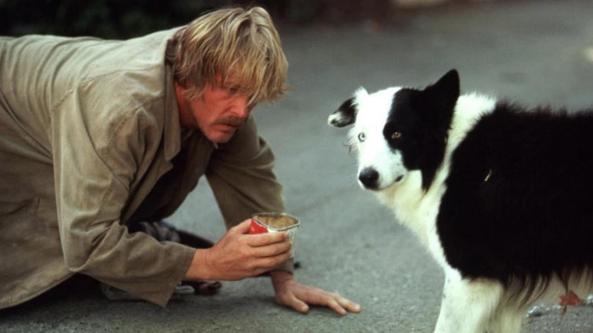 På luffen i Beverly Hills